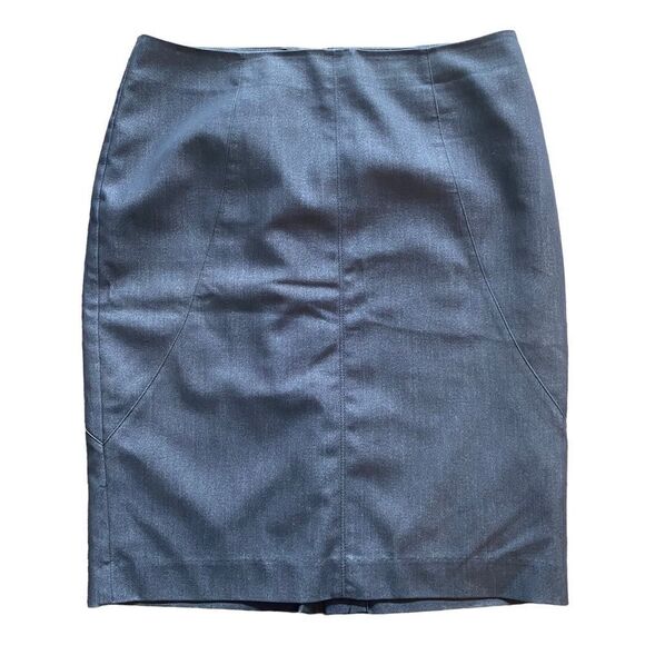 DANA Buchman Charcoal Gray Lined Skirt with Slit Size 8 - Picture 1 of 6